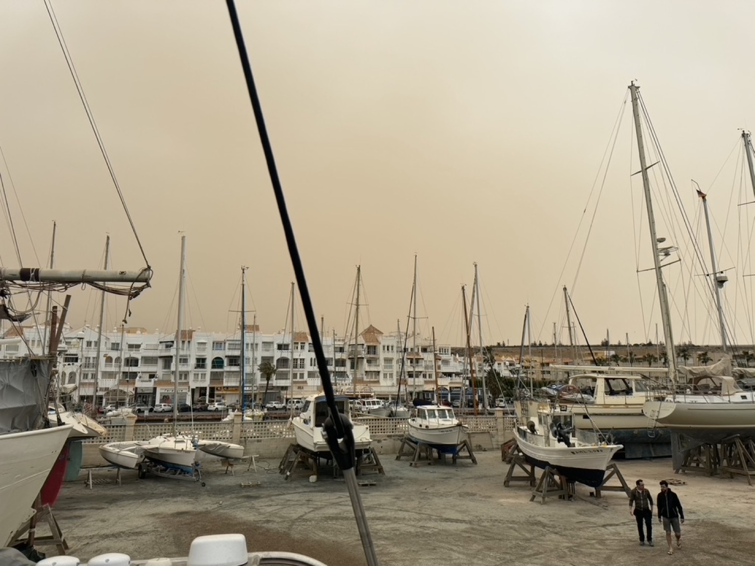/img/bigtrip/resIMG_20240324_140648_8AF3D072-6D9F-47B2-A9A8-6E3CCC8645FB_1_105_c.jpg