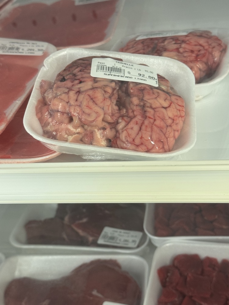/img/brains.jpeg