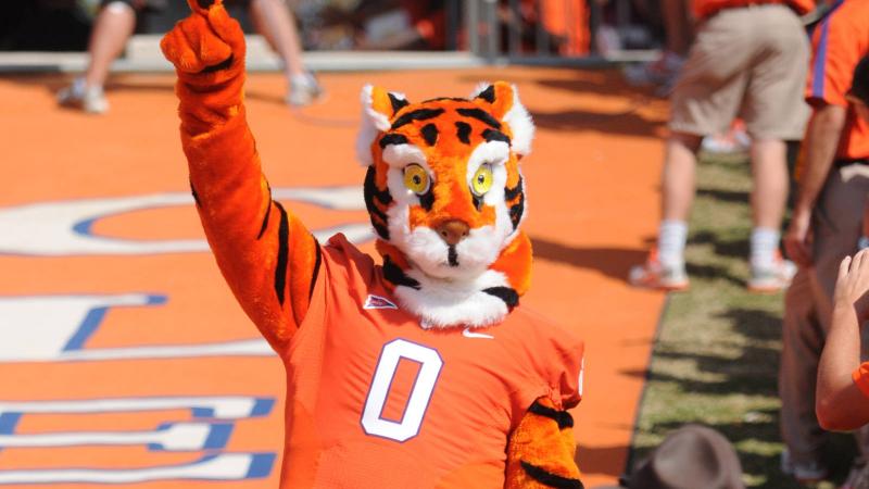 /img/clemsonmascot.jpg