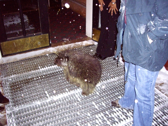 /img/gal/025%20-%20Colorado%20-%20Dec%202006/resPicture036.jpg