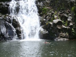 /img/hawaii-falls.jpg