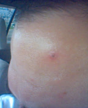 /img/namethatzit.jpg