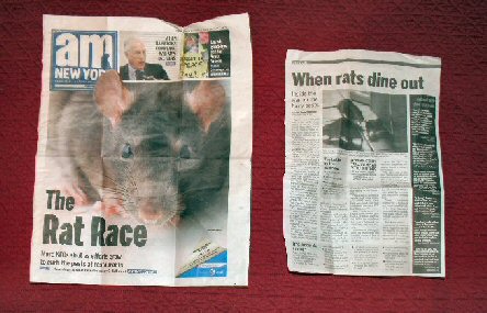 /img/rats.jpg