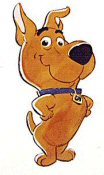 /img/scrappy.jpg