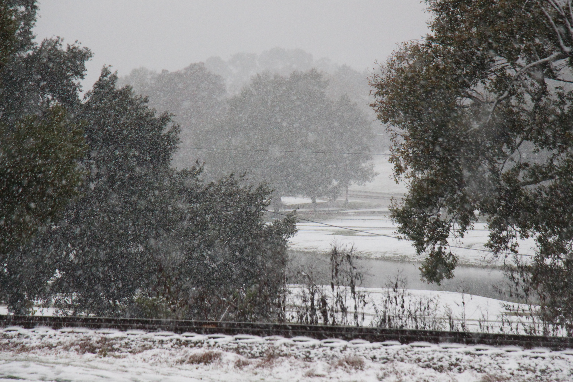 /img/snowday3.jpg