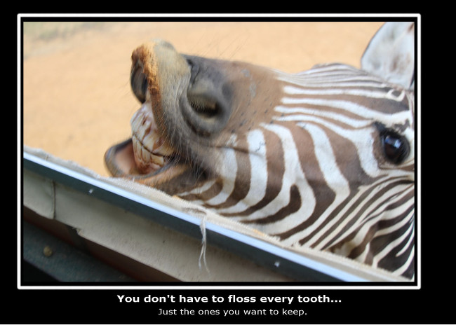 for the dentist.